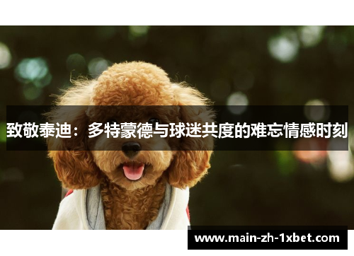 致敬泰迪：多特蒙德与球迷共度的难忘情感时刻