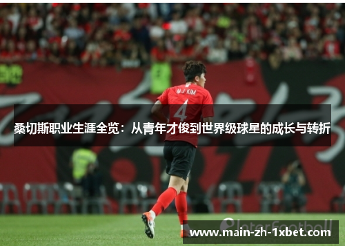 桑切斯职业生涯全览：从青年才俊到世界级球星的成长与转折