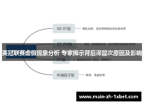 英冠联赛虚假现象分析 专家揭示背后深层次原因及影响 英冠联赛虚假现象分析 专家揭示背后深层次原因及影响