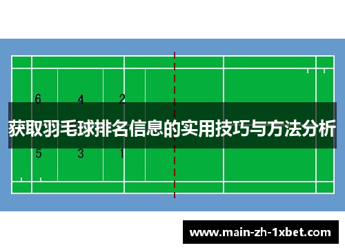 获取羽毛球排名信息的实用技巧与方法分析 获取羽毛球排名信息的实用技巧与方法分析