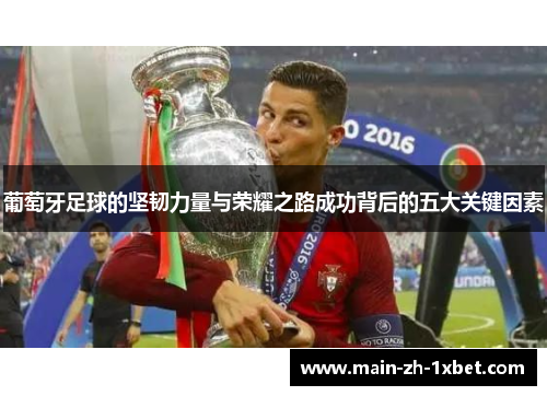 葡萄牙足球的坚韧力量与荣耀之路成功背后的五大关键因素