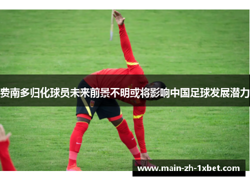 费南多归化球员未来前景不明或将影响中国足球发展潜力