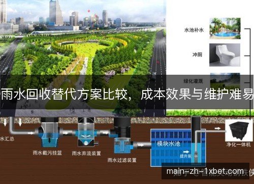 雨水回收替代方案比较,成本效果与维护难易 雨水回收替代方案比较,成本效果与维护难易